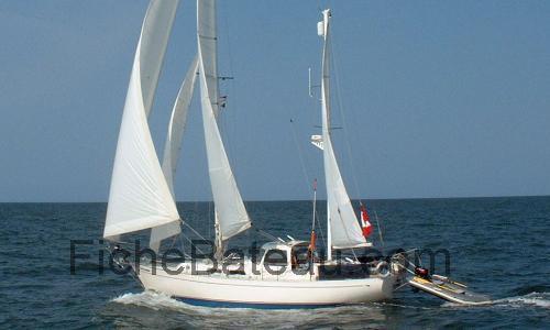 Hughes 40 fiche technique et avis